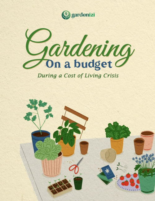 E-book - Jardinagem com orçamento limitado • Gardenizi