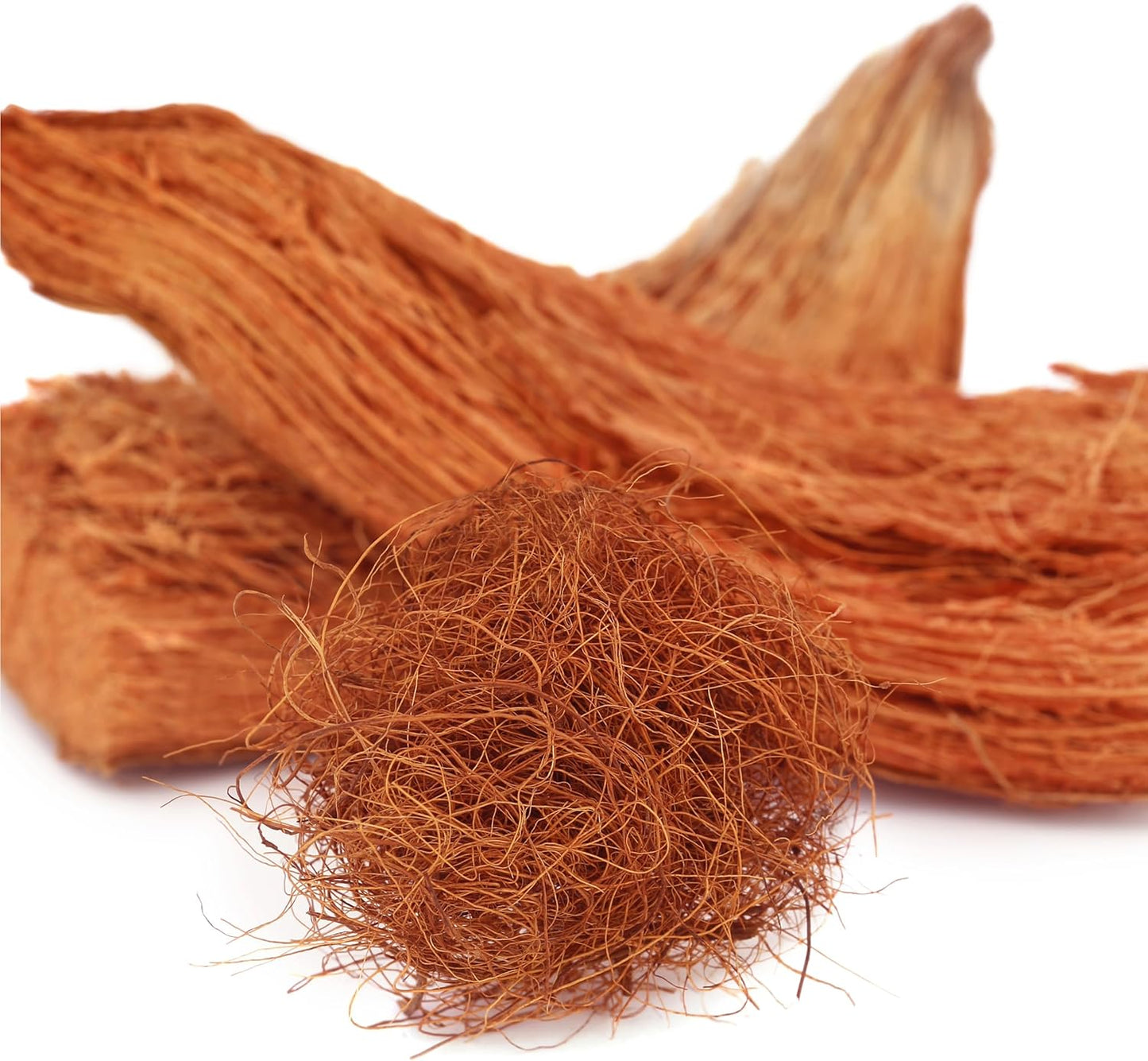 Fibra de coco orgânica • Gardenizi