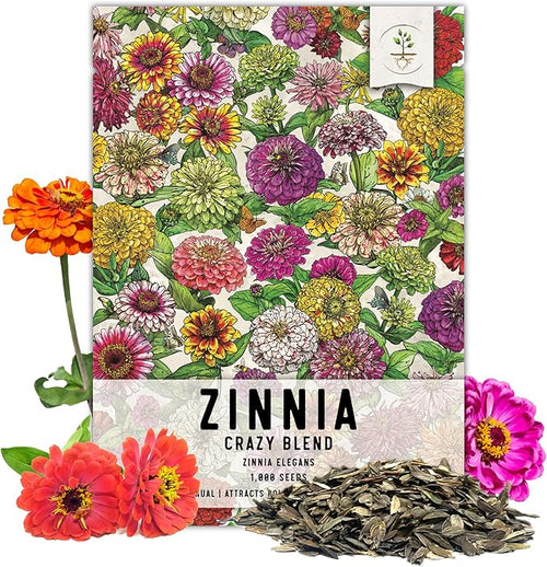 Sementes de Zínia