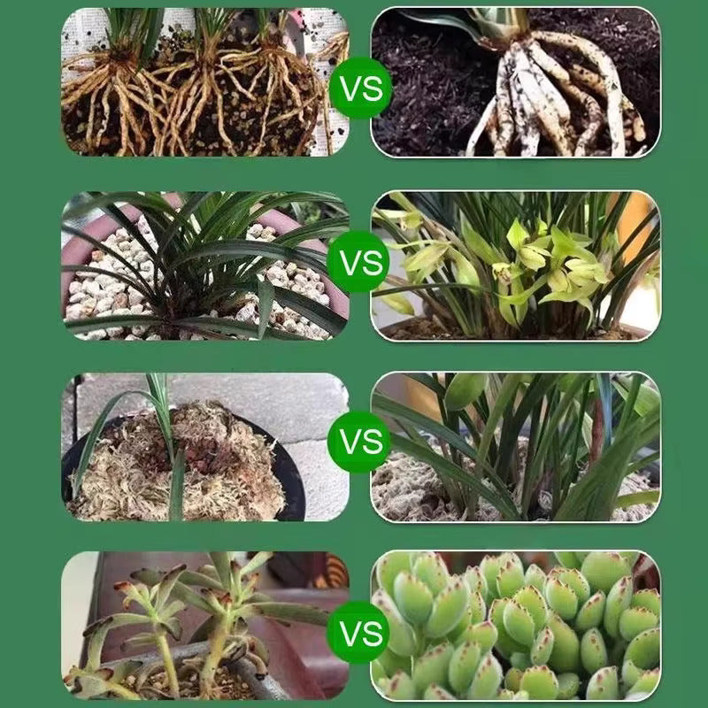 Solução de nutrientes para plantas • Gardenizi