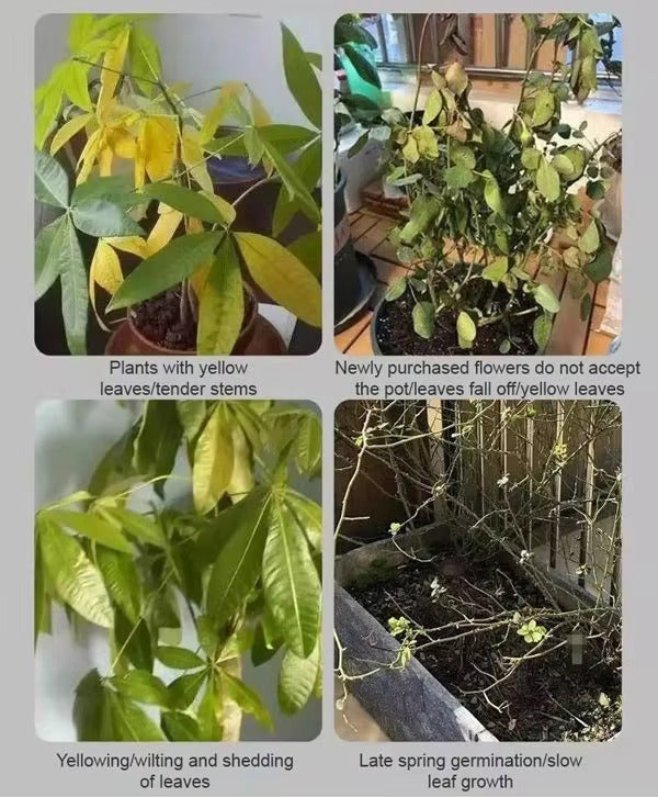 Solução de nutrientes para plantas • Gardenizi