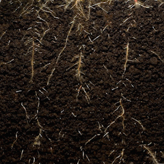 Solução de nutrientes para plantas • Gardenizi