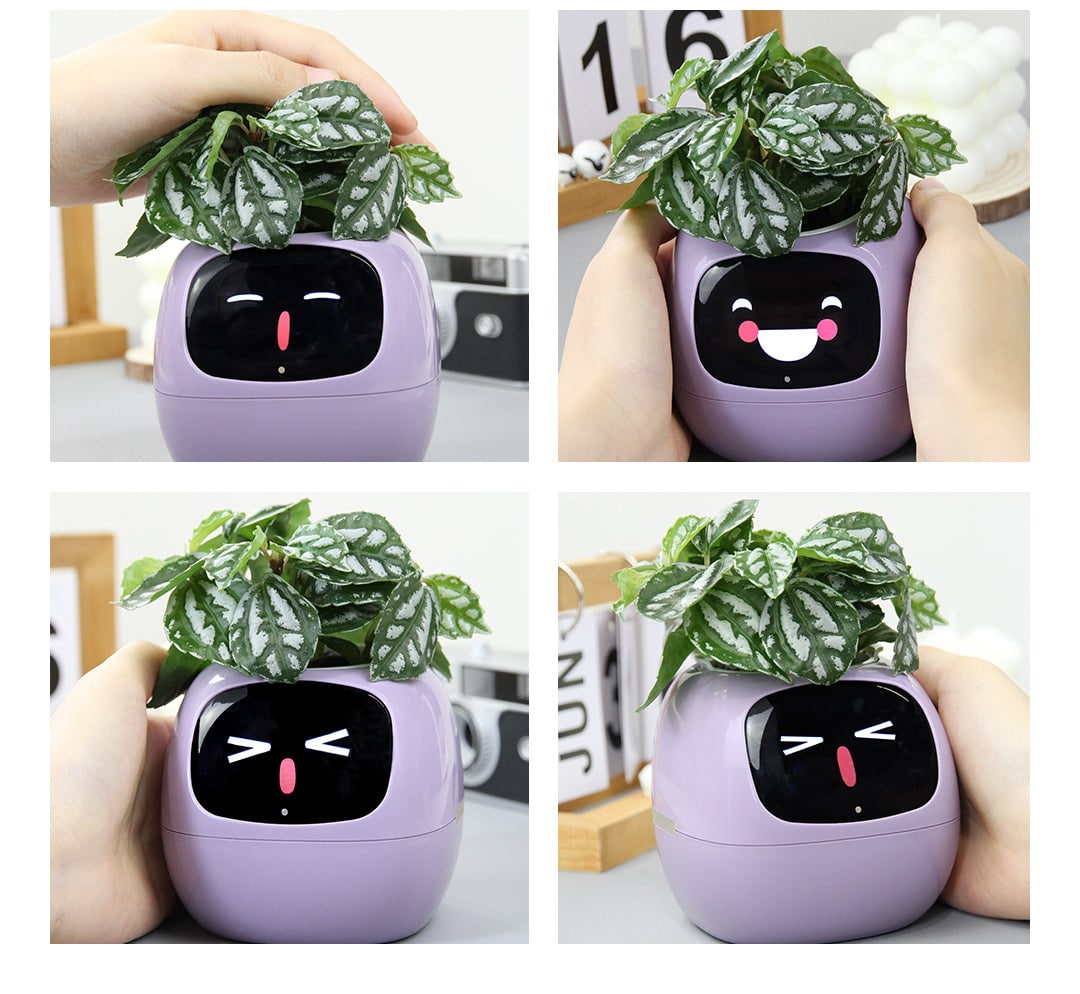 Vaso de flores inteligente com IA | Gardenizi