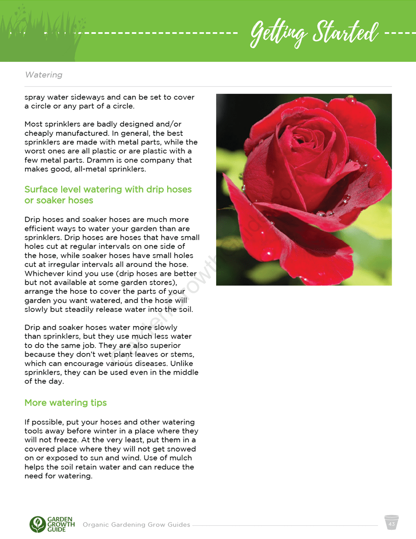 Ebook Guias de Cultivo de Hortaliças Orgânicas | Ebook Gardenizi