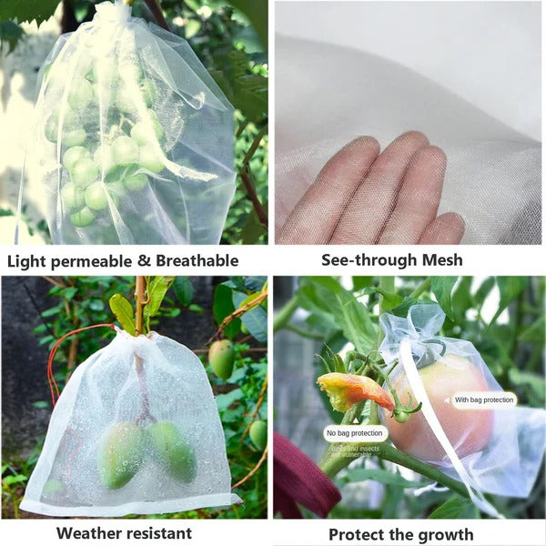 Sacos de rede para frutas com cordão