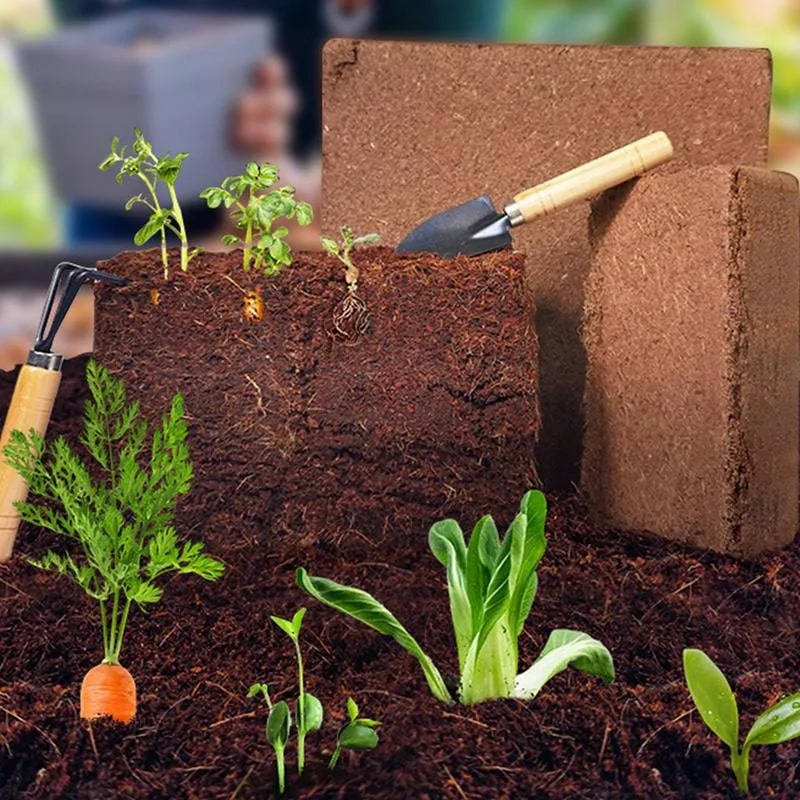 Fibra de coco orgânica • Gardenizi 