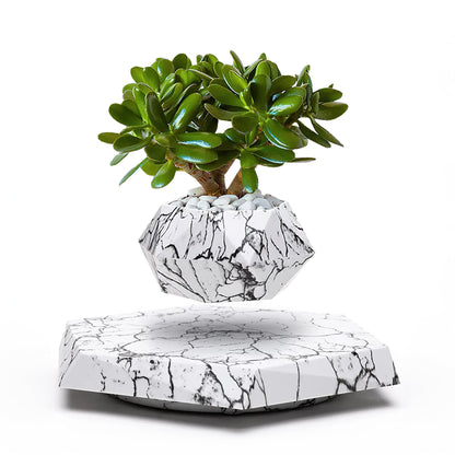 Vaso de Planta Levitando