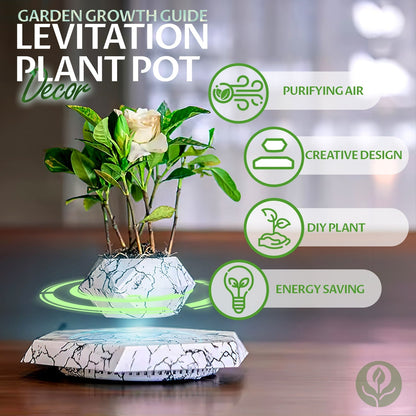 Vaso de Planta Levitando