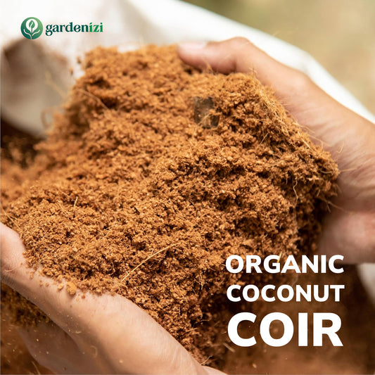 Fibra de coco orgânica • Gardenizi 