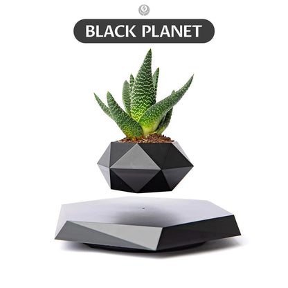 Vaso de Planta Levitando
