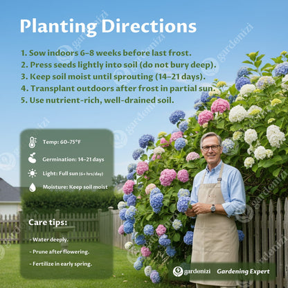 Royal Hydrangea Seeds | Gardenizi