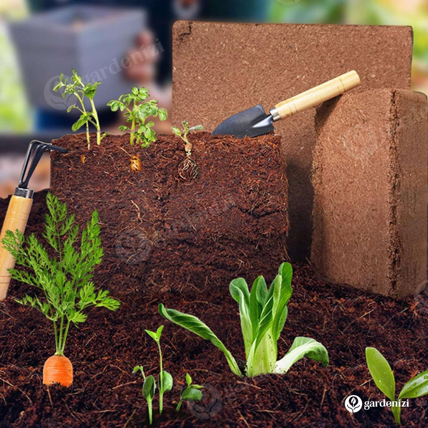 Organic Coconut Coir • Gardenizi