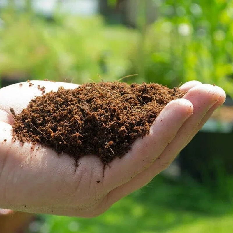 Fibra de coco orgânica • Gardenizi 