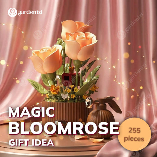 Magic BloomRose • Gardenizi