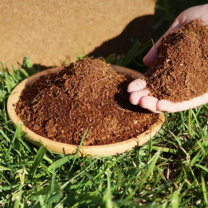 Fibra de coco orgânica • Gardenizi 