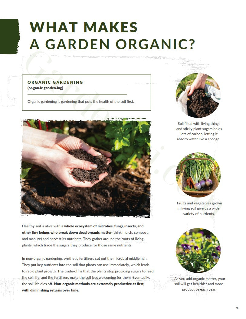 Ebook - Guia do Primeiro Jardim Orgânico • Gardenizi