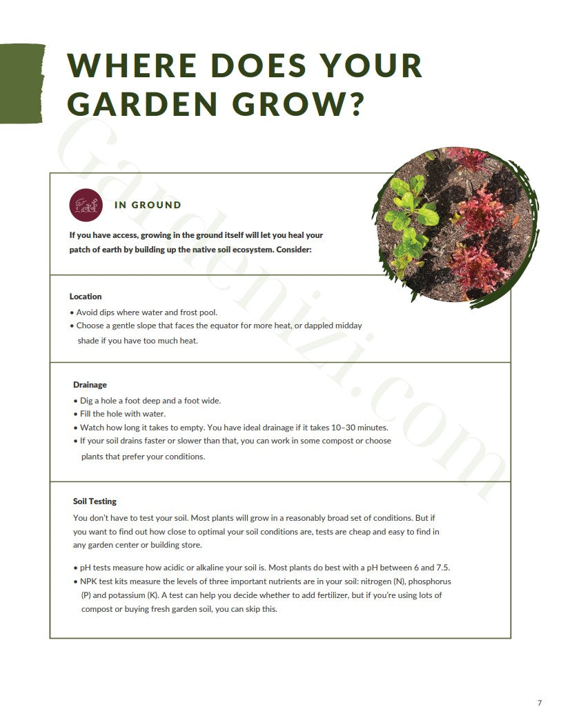 Ebook - Guia do Primeiro Jardim Orgânico • Gardenizi