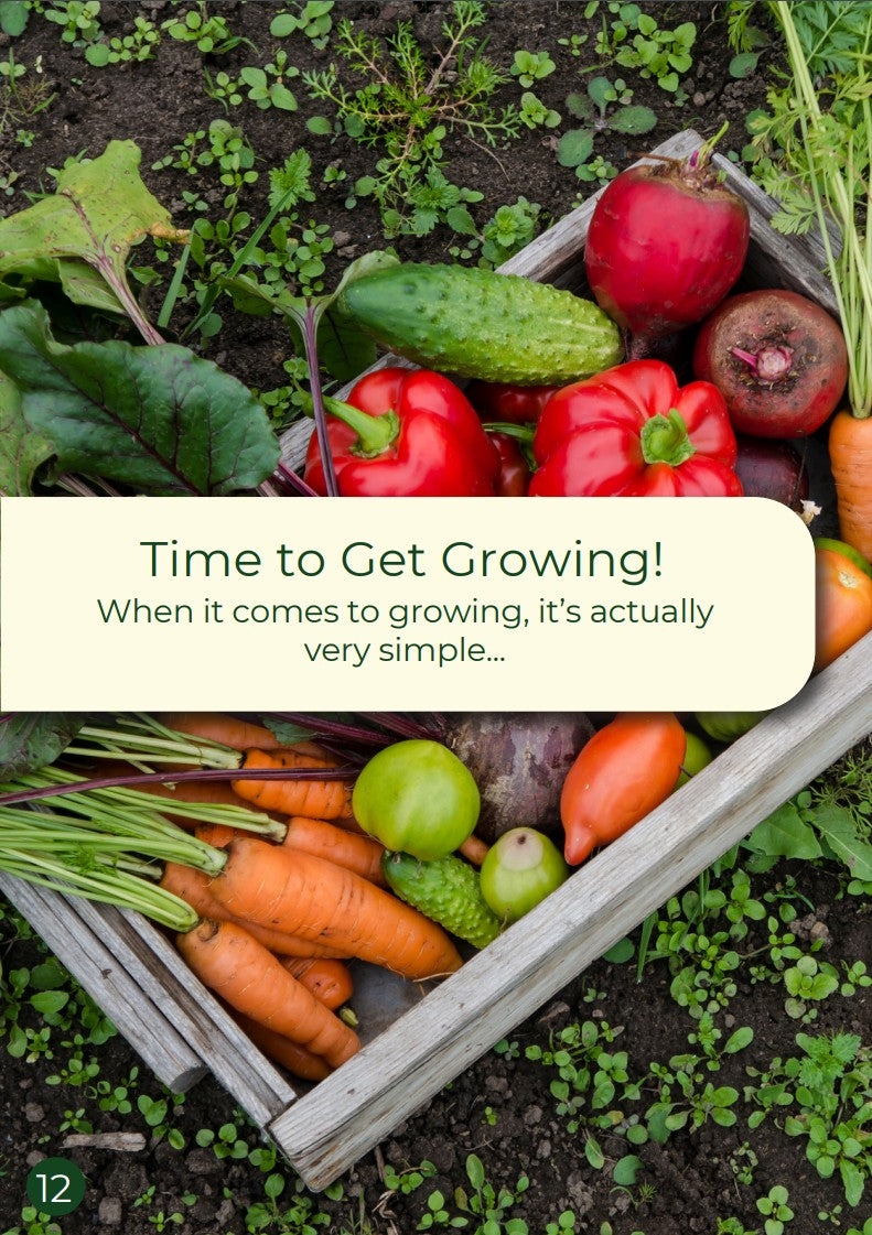 E-book - Jardinagem com orçamento limitado • Gardenizi