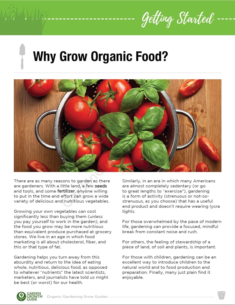Ebook Guias de Cultivo de Hortaliças Orgânicas | Ebook Gardenizi
