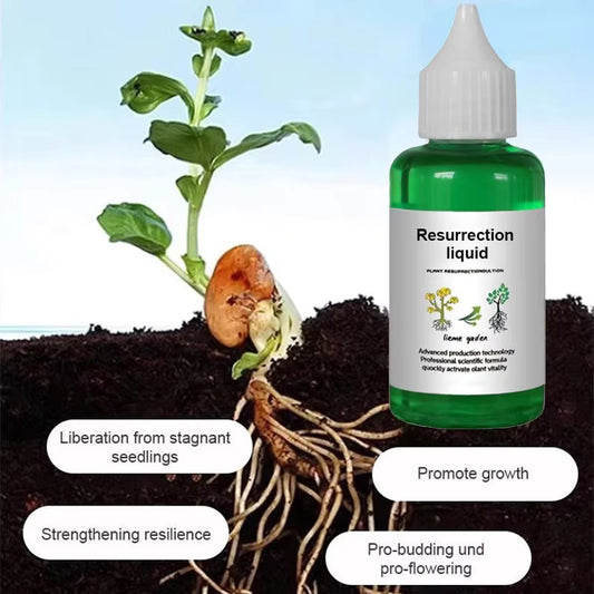 Solução de nutrientes para plantas • Gardenizi