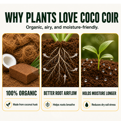 Organic Coconut Coir • Gardenizi