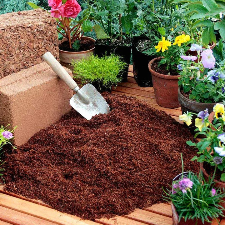 Fibra de coco orgânica • Gardenizi 