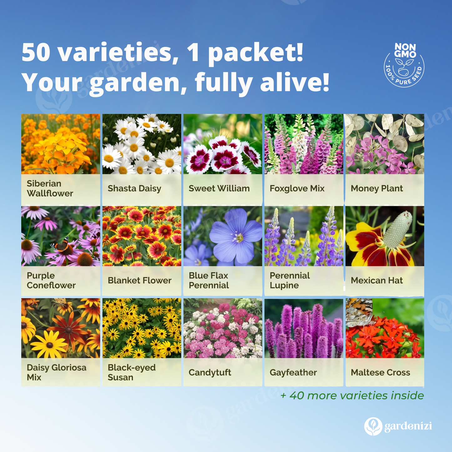 Mixed Wild Flower Seeds