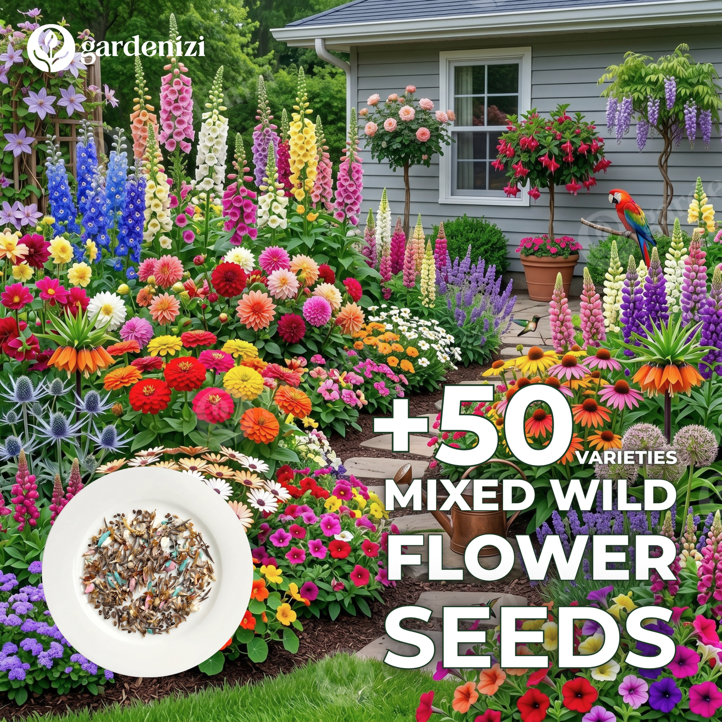Mixed Wild Flower Seeds  • Gardenizi