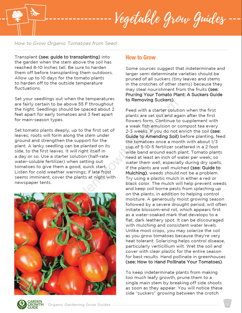 Ebook Guias de Cultivo de Hortaliças Orgânicas | Ebook Gardenizi